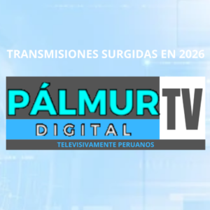 Pálmur Digital TV