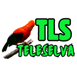 Teleselva